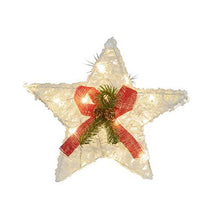 Load image into Gallery viewer, 30cmD LED White Star