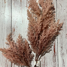 Load image into Gallery viewer, Blush  Ombre Pampas Spray
