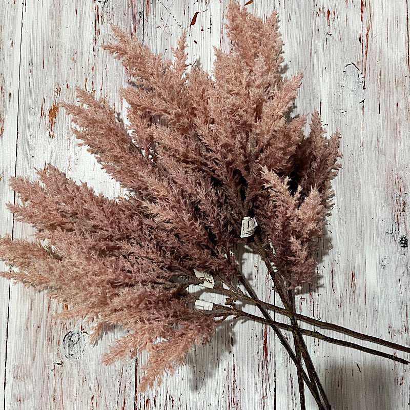 Blush  Ombre Pampas Spray