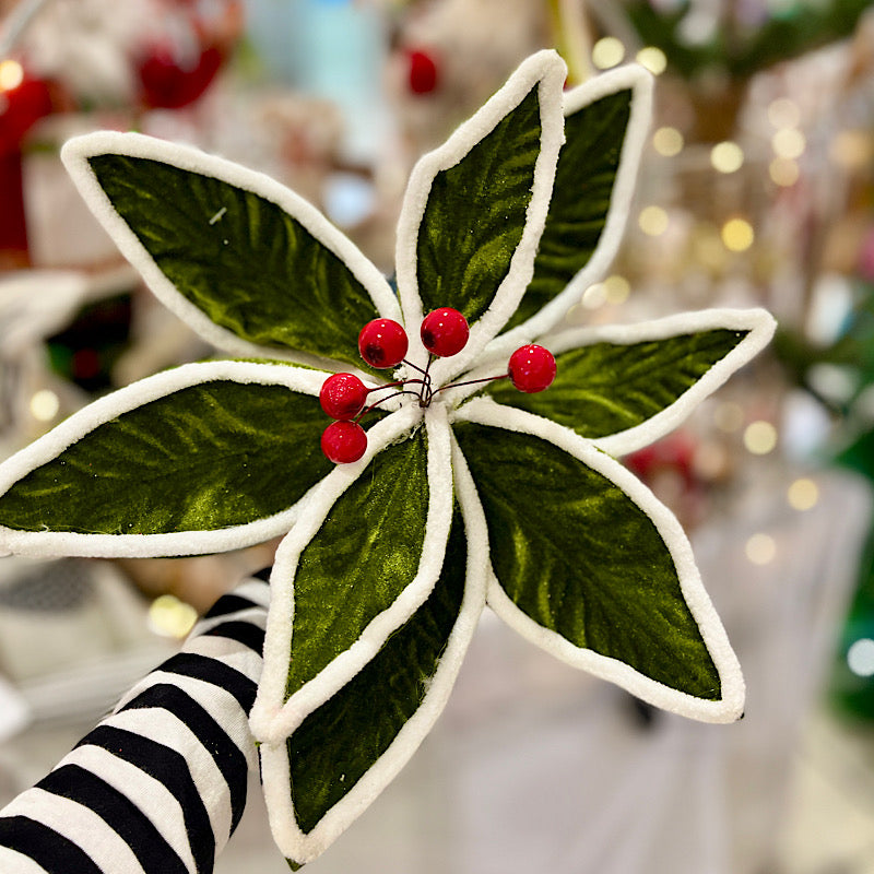 Green White Trim Flower