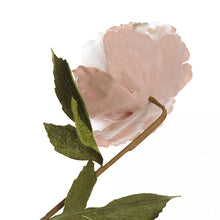 Load image into Gallery viewer, Pink Peony Stem
