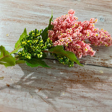 Load image into Gallery viewer, Mini Pink Berries Spray With Leaves
