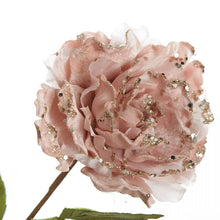 Load image into Gallery viewer, Pink Peony Stem
