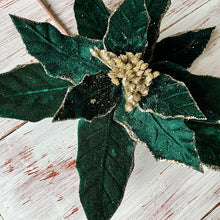 Load image into Gallery viewer, Forrest Green Poinsettia
