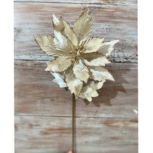 Load image into Gallery viewer, Champagne Poinsettia
