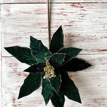 Load image into Gallery viewer, Forrest Green Poinsettia
