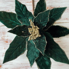 Load image into Gallery viewer, Forrest Green Poinsettia
