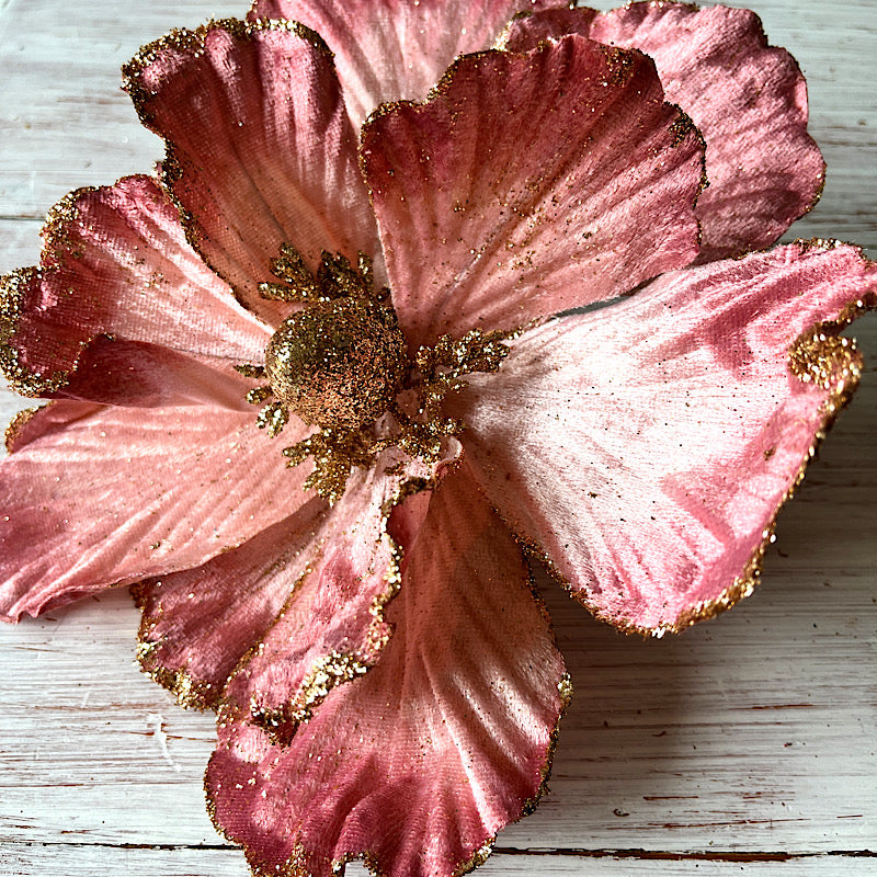 Pink Ombre Magnolia With Stem