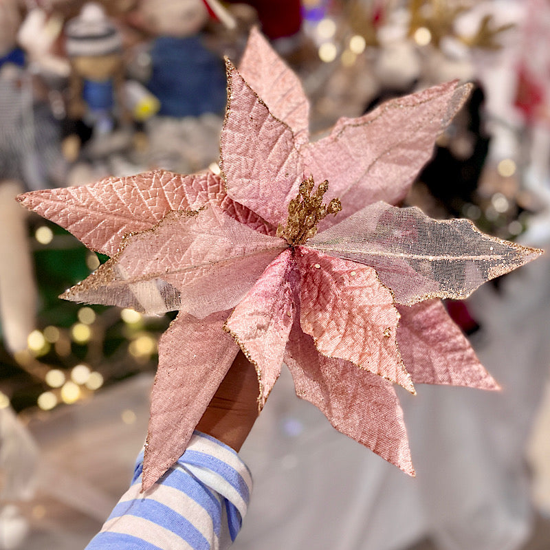 Rose Gold Poinsettia